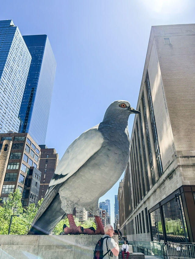 Elevated Escapes: Discovering the Art and Nature of NYC's High Line!