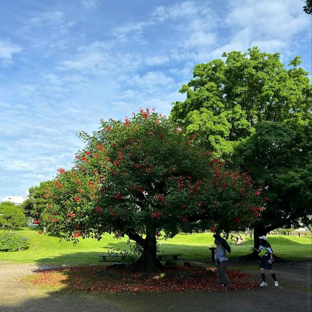 Hamarikyu Gardens