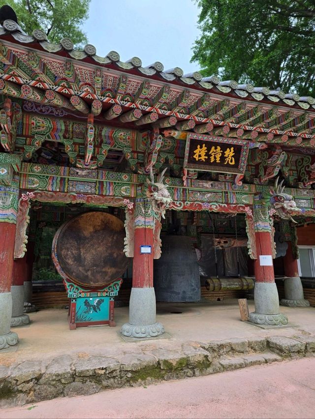 수국시즌에 꼭 가야할 남해사찰🩷