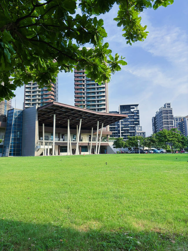 🌿城市裡的綠意綠洲：桃園《風禾公園》，親子野餐滑草超chill！