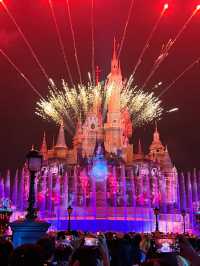 From Mulan to Moana: The Ultimate Disney Princess Castle