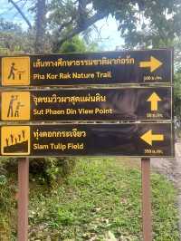 อุทยานแห่งชาติป่าหินงาม