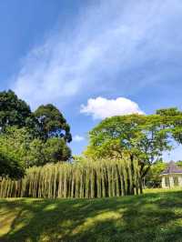 Botanic Garden in Singapore