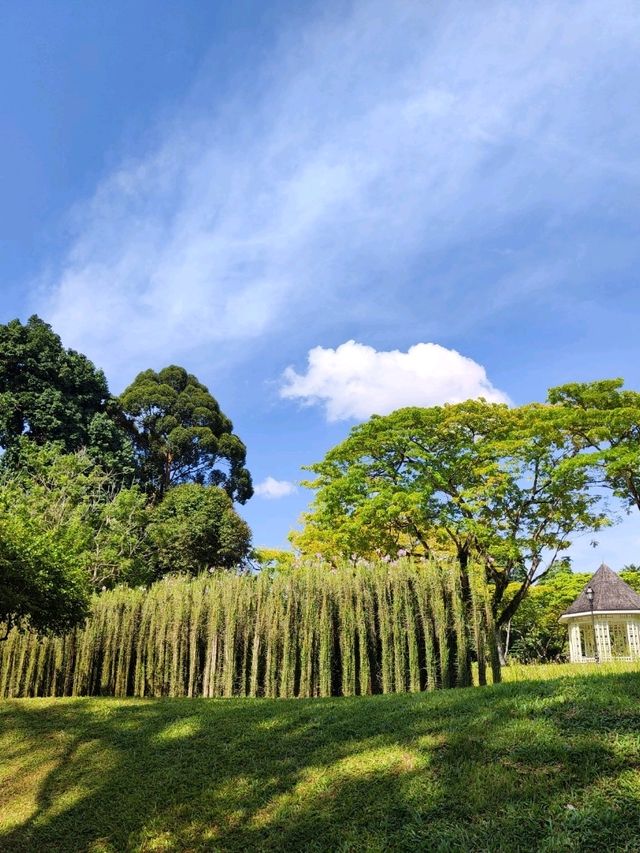 Botanic Garden in Singapore