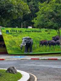 วิ่งสูดอากาศบริสุทธิ์แบบ 360 องศา ที่เขาใหญ่