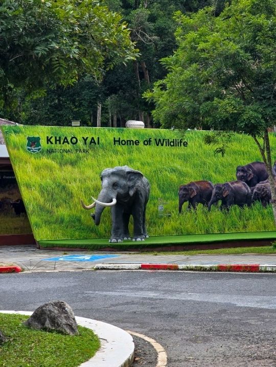 วิ่งสูดอากาศบริสุทธิ์แบบ 360 องศา ที่เขาใหญ่