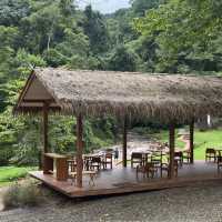 หลงเขา คาเฟ่กลางป่าจังหวัดน่าน