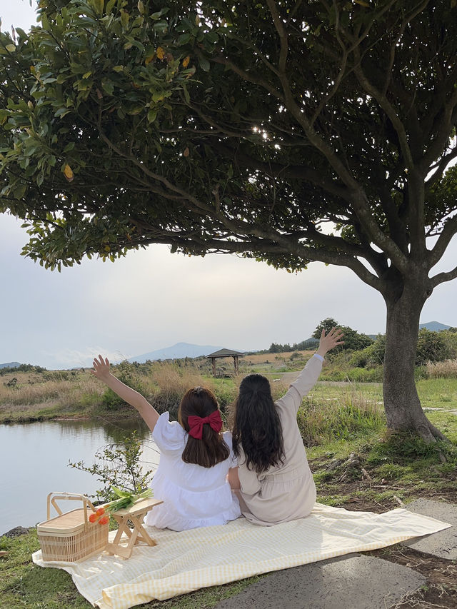 제주 비밀 인생샷 스팟