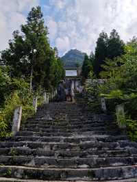 Taoyi Cave 🌳 