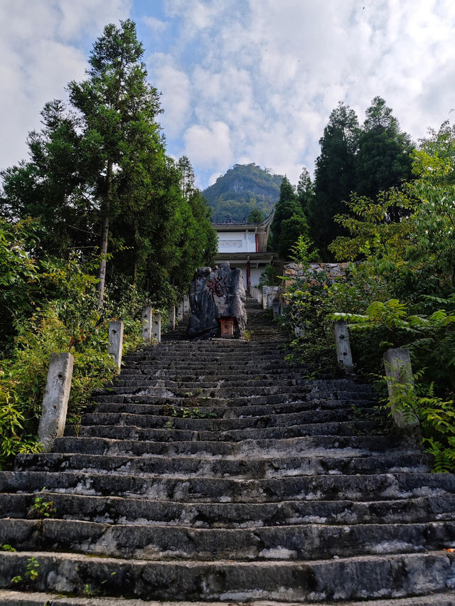 Taoyi Cave 🌳 