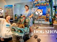 Dog Show 2025
