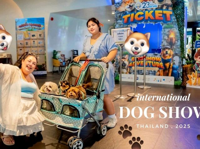 Dog Show 2025