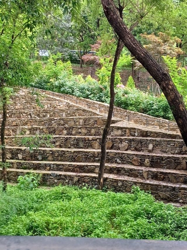 진주 도심 속 산림 힐링, 월아산