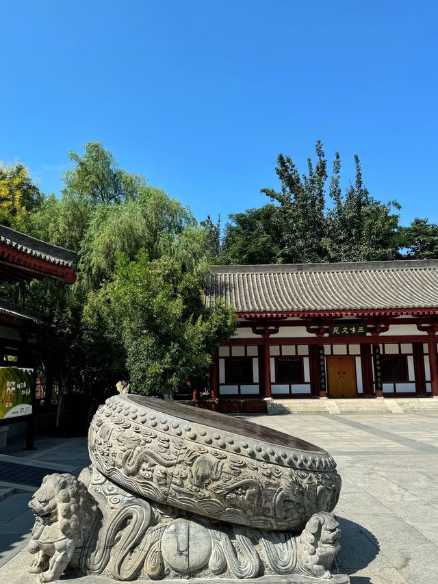 🌿A Tranquil Retreat in Xi’an — Discover Fengqing Park