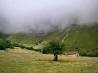 Epic Peaks and Cow Bells