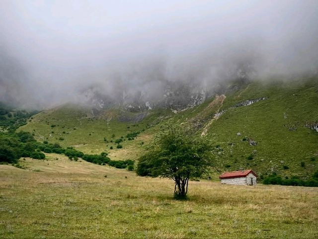 Epic Peaks and Cow Bells