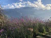 Flower gardens at the Fansipan Cable Car