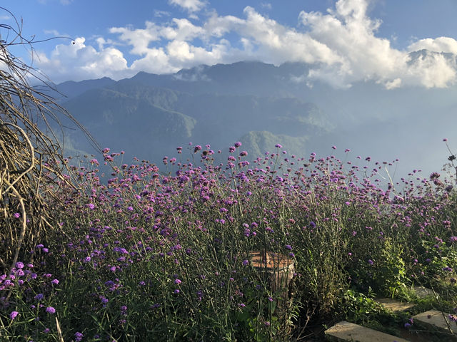Flower gardens at the Fansipan Cable Car