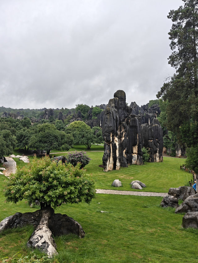 Yunnan Kunming Natural Stone Formation