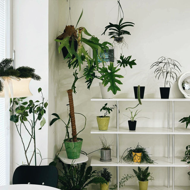 Incurve Café in Seoul 