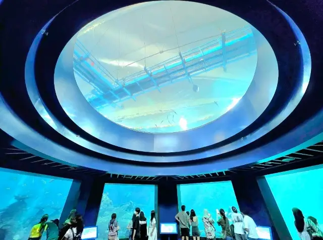 Experience the Ocean under the Big Blue Dome!