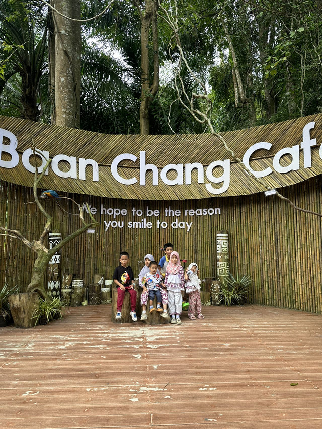 บ้านช้างคาเฟ่ อ่าวนาง