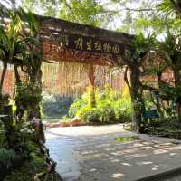 🌿 Escape into Nature at Qingxiu Mountain, Nanning (南宁青秀山)