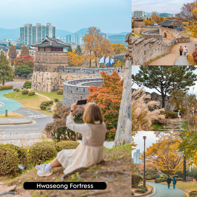 มีเวลา 1 Day Trip หาเมืองเที่ยวใกล้โซล ไปที่ไหนดี? มีเวลา 1 Day Trip หาเมืองเที่ยวใกล้โซล ไปที่ไหนดี?