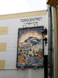 ❄️🌌 “Gateway to the Arctic: My Magical Day in Tromsø” 🇳🇴