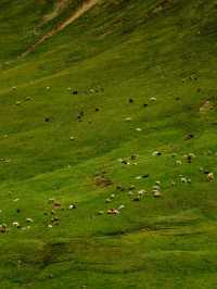 Mini Road Trip in Xinjiang: Yizhao Highway, Heavenly Horses & the Azure Lake