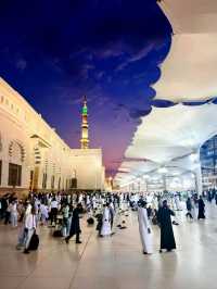Prayers and Reflections in Masjid al-Nabawi