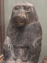 Dust & Gold: Where I Met Pharaohs Face To Face In Cairo’s Time Warped Museum