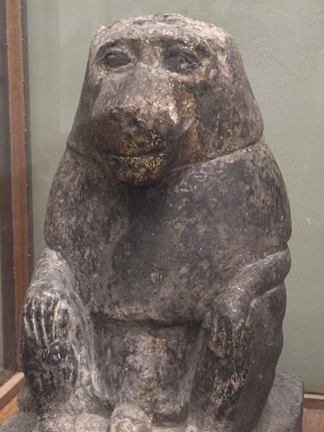 Dust & Gold: Where I Met Pharaohs Face To Face In Cairo’s Time Warped Museum