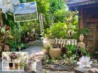 สวนป่าตากา คาเฟ่ อำเภอวังเจ้า จังหวัดตาก
