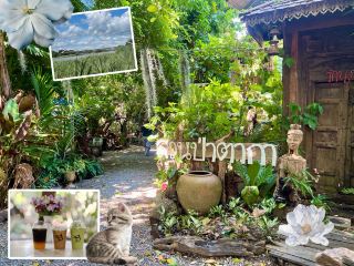 Taka Forest Park Cafe, Wang Chao District, Tak Province