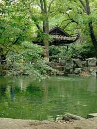 天然氧吧—武陵山國家森林公園—一秒穿越原始叢林的秘境