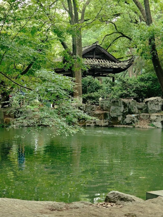 天然氧吧—武陵山國家森林公園—一秒穿越原始叢林的秘境