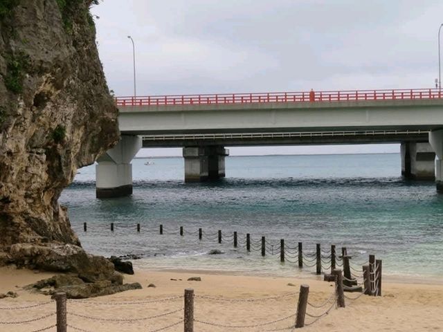 ⛩️ 沖繩漫遊｜首里城、藍色小鳥、庭園午餐和波上宮海景*🐦🌿🌊