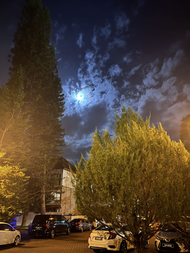 Escape to Cool Comfort at Century Pines Resort, Cameron Highlands! 