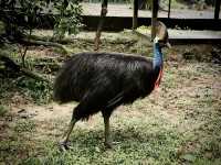 Tales of the tin mining towns: Kek Lok Si & Taiping