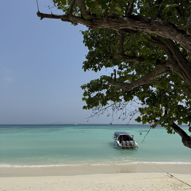 푸켓 라차섬 여행🏝️ 푸켓 라차섬 여행🏝️