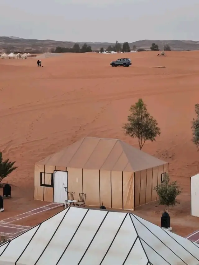 🏜️ Sahara Desert Escape ✨