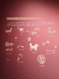 Discovering Qinghai Province Museum: A Cultural Gem in Xining