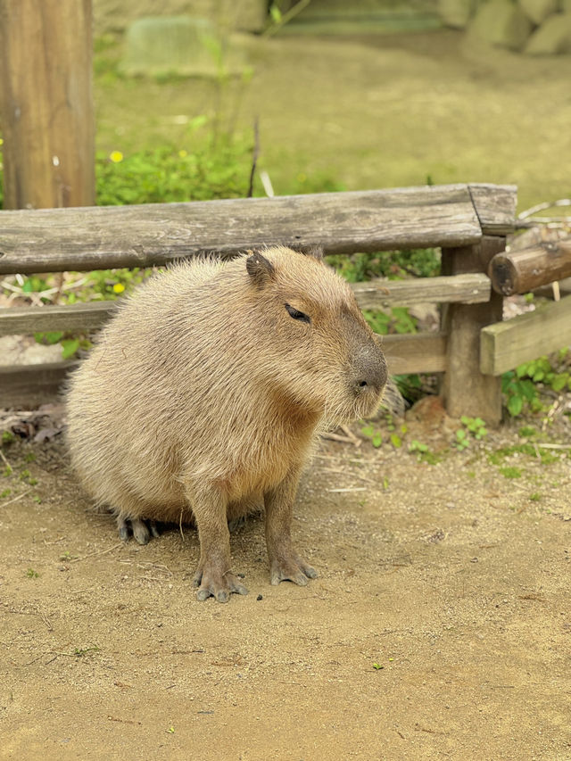 ๐ข ์ฉ์ธ ์๋ฒ๋๋, ๋์ด์ ์ฒดํ์ ํ๋ฃจ ๐ ๐ข ์ฉ์ธ ์๋ฒ๋๋, ๋์ด์ ์ฒดํ์ ํ๋ฃจ ๐