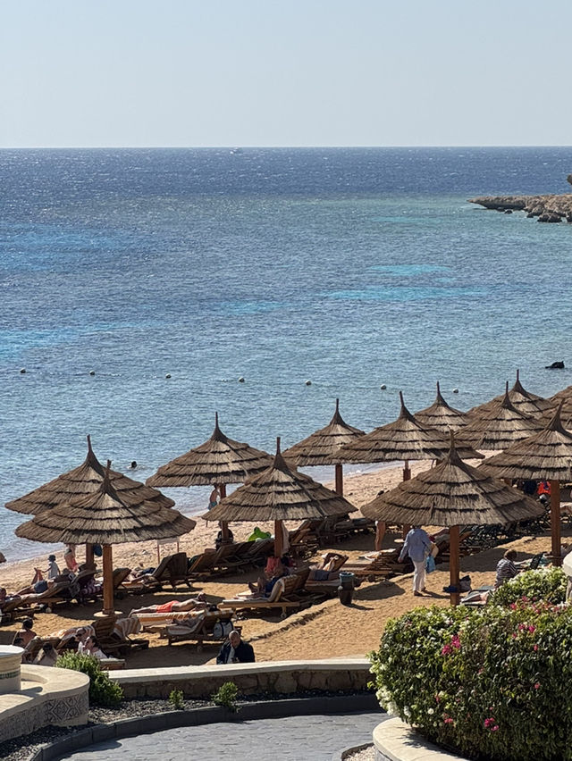☀️ 붉은 사막과 푸른 바다가 만나는 샤름 엘 셰이크 여행 🌴