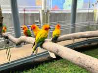 Urban Jungle: Exploring the Philippine Biodome