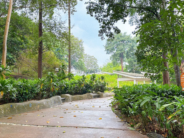 Canopy Bridge, Taman Botani Putrajaya