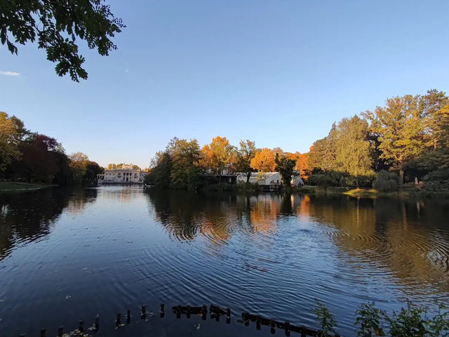 【緑と芸術が調和する癒しの空間】ワジェンキ公園🌳🎶 【緑と芸術が調和する癒しの空間】ワジェンキ公園🌳🎶