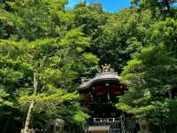 Tsurugaoka Hachimangu – The Spiritual Heart of Kamakura ⛩️