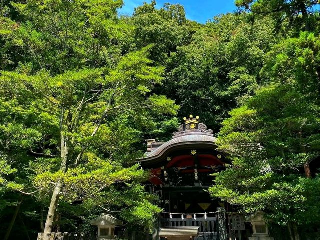 Tsurugaoka Hachimangu – The Spiritual Heart of Kamakura ⛩️